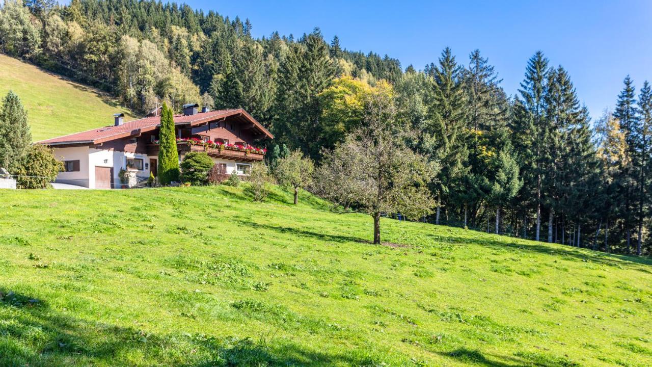 Ferienhaus Berger Mittersill Exterior foto